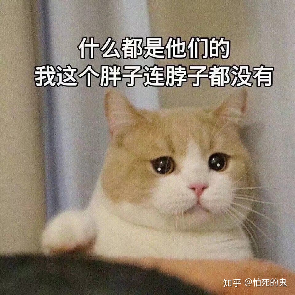 高中英语网课老师排名