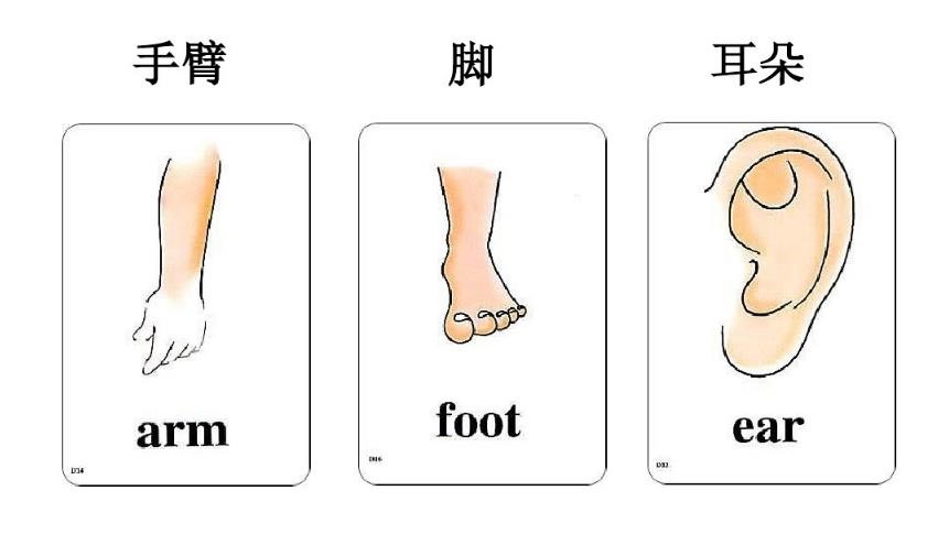 零基础的幼儿英语入门学习要注意什么