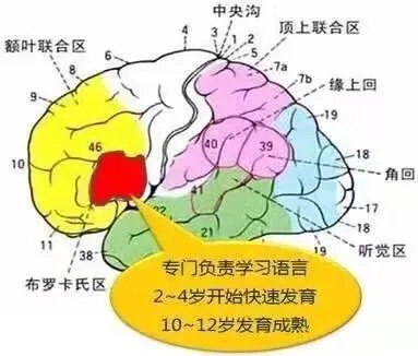 英语启蒙最佳年龄，不是3岁也不是5岁，而是这个时候