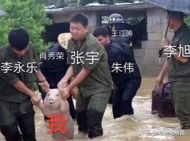 网课哪家好