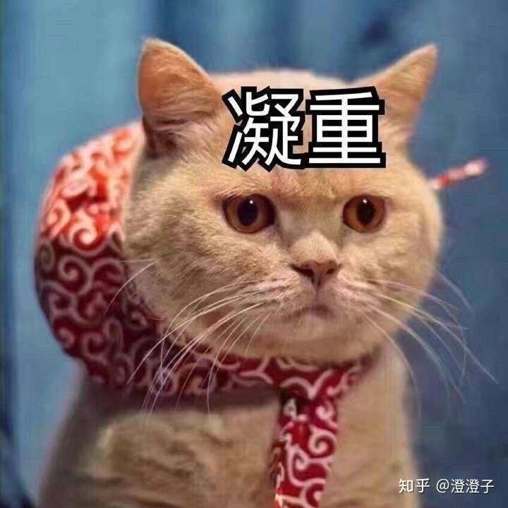 雅思一对一课程好吗