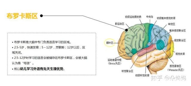 孩子英语学不好