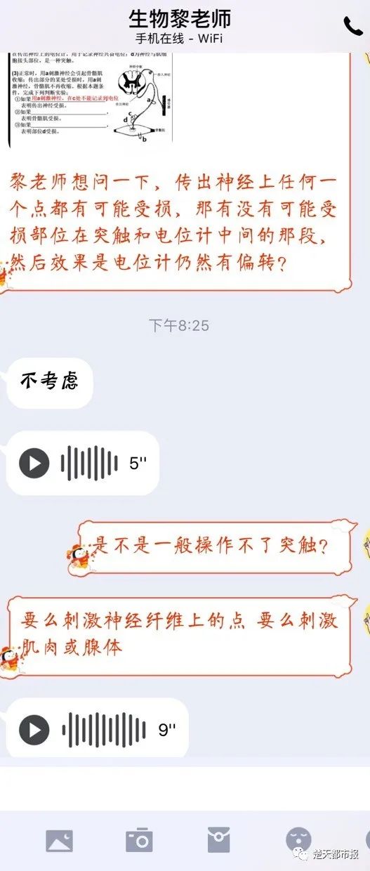 高中英语网课徐磊