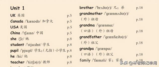 计算机应用基础样文下载_怎么样零基础学习英语_学习基础技能的重要性 英语作文