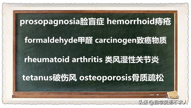 0基础英语应该从单词记起吗，我总感觉死记硬背没有任何用处？插图(2)