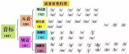 零基础学习英语从什么地方开始学起？插图(1)