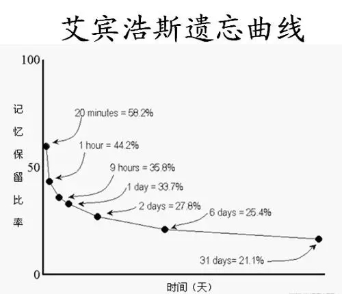 建议收藏！成年人学英语真的没那么难，干货满满的英语学习秘诀插图(4)