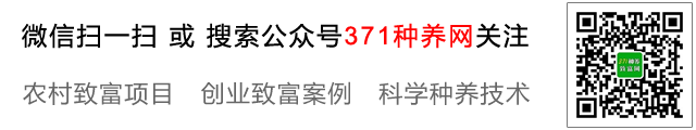 371种养致富网微信公众号