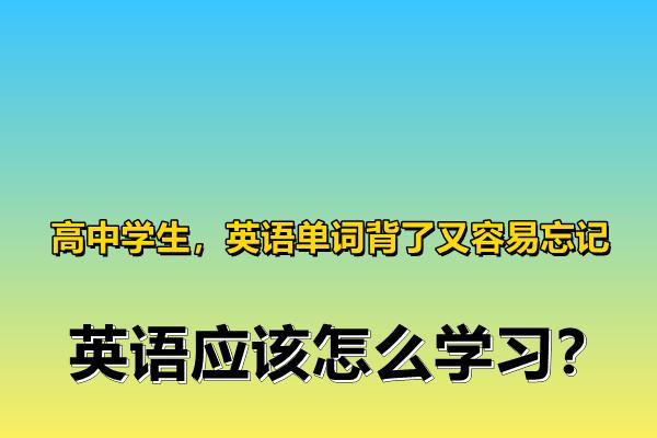 高中学生,英语单词背了又容易忘记,英语应该怎么学习插图